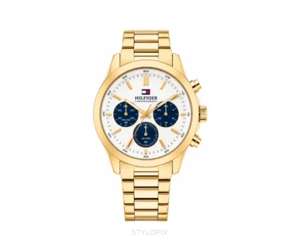 Tommy Hilfiger TH1710723W Hudson Chronograph Quartz - Tommy Hilfiger First Copy Watches