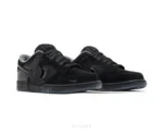 Nike SB Dunk Low Duck Of The Feather Black University - Nike First Copy Shoes