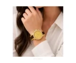 Michael Kors Mk 5688 With Gold Dial Quartz - Michael Kors First Copy Watches