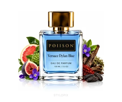 Poiison Versace Dylan Blue Inspired Perfume EDP