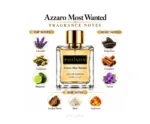 Poiison Azzaro Most Wanted Inspired Perfume EDP