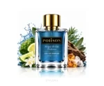 Poiison Acqua Di Gio Profumo Inspired Perfume EDP